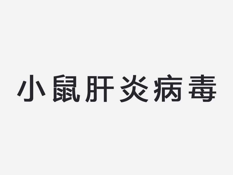 小鼠肝炎病毒