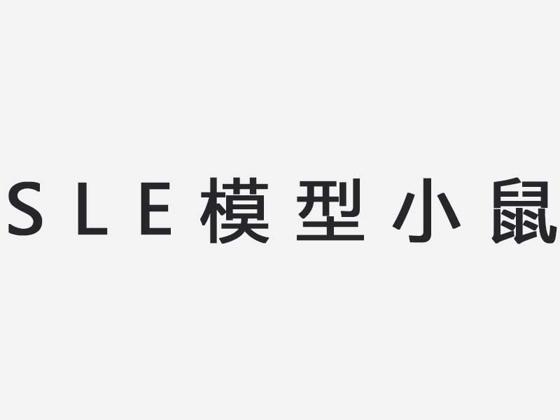 SLE模型小鼠