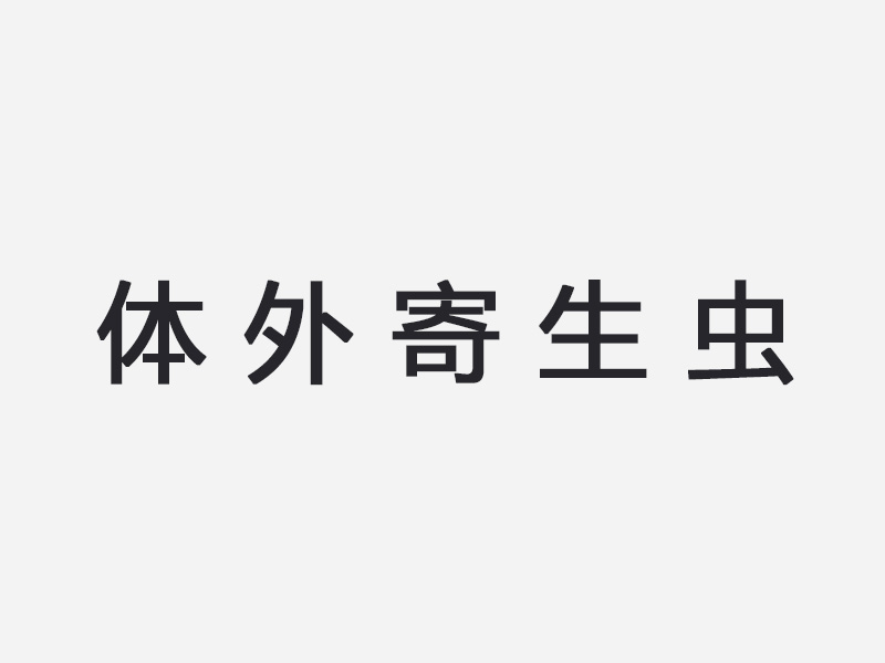 体外寄生虫