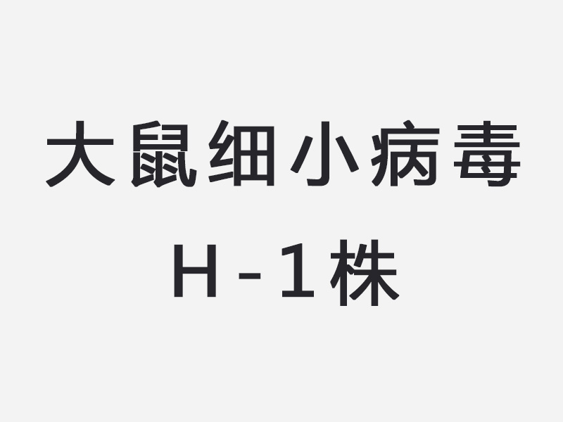 大鼠细小病毒H-1株