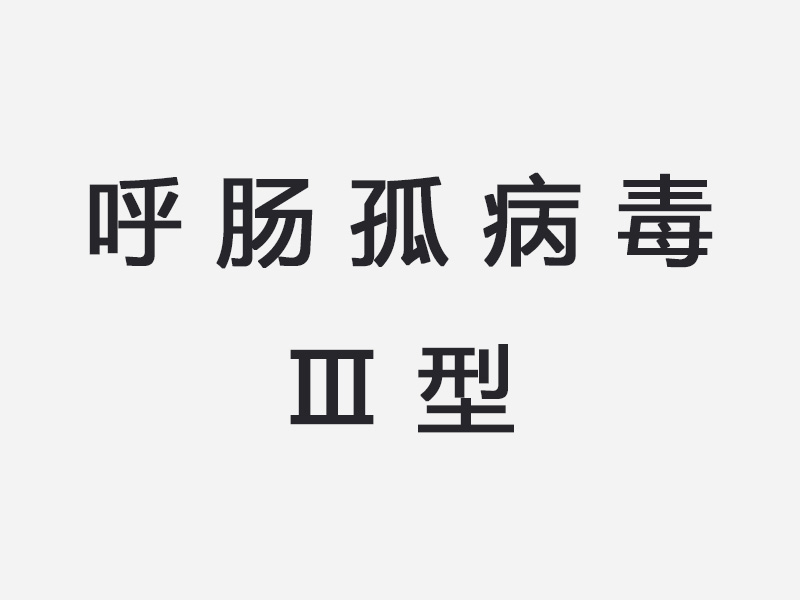 呼肠孤病毒Ⅲ型