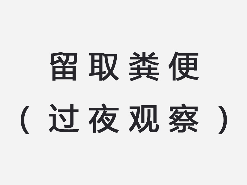 留取粪便（过夜观察）