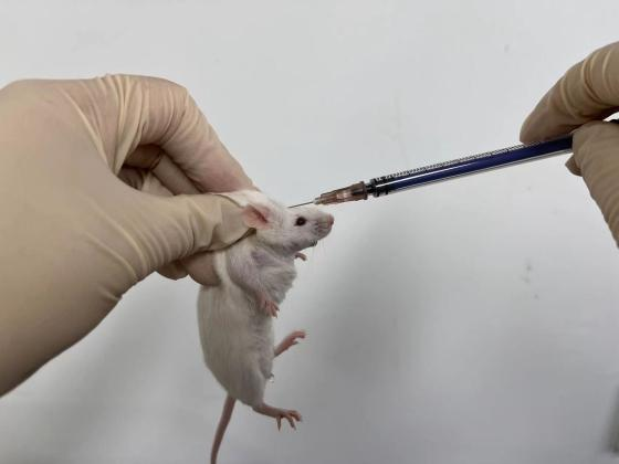 皮下注射或肌肉注射